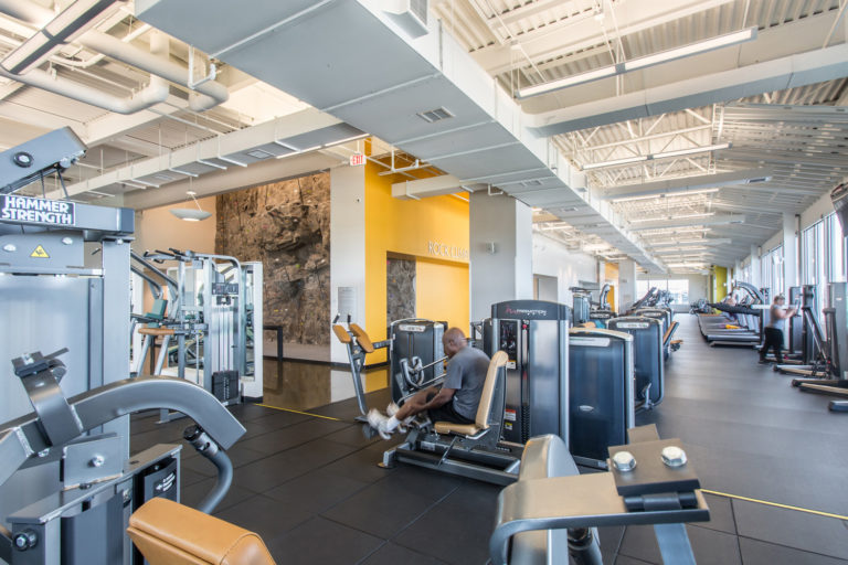 the fitness equation price
