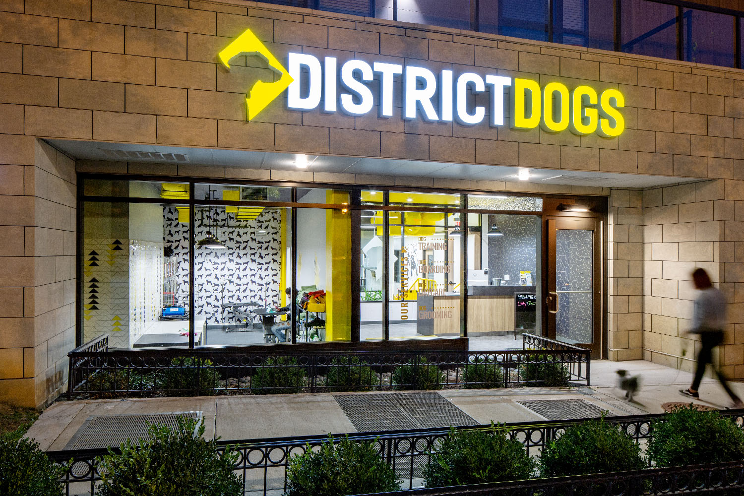 District Dogs L.F. Jennings